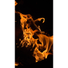 Fire & Flame