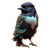 black raven - bird
