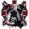 Drôle de bouledogue anglais