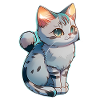 cute little gray kitten