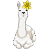 Llama Daffodil Flowers