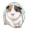 Guinea Pig Bride Wedding