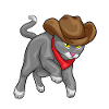 Chat Cowboy Cowboy Chapeau