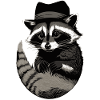 Waschbär mit Hut