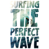 Surfing The Perfect Wave