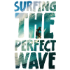 Surfing The Perfect Wave
