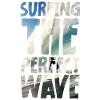 Surfing The Perfect Wave