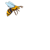 Bee Child
