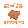 Marmot Groundhog Woodchuck