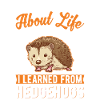 Hedgehog Gift Spiny Hedgehog