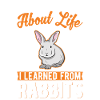 Lapin lapin lapin lapin