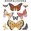 RHOPALOCERA BUTTERFLY DESIGN