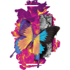 METAMORPHOSIS ARTFUL BUTTERFLY DESIGN