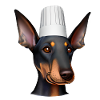 Dobermann Gastronom Hund Dobermannwelpe Köche