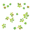 Spring Leaves Pattern