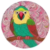 beautiful bright parrot |