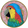 beautiful bright parrot |