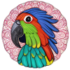 beautiful bright parrot |