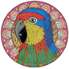 beautiful bright parrot |