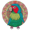 beautiful bright parrot |