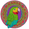 beautiful bright parrot |