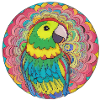 beautiful bright parrot |