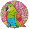 beautiful bright parrot |