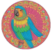 beautiful bright parrot |