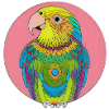 beautiful bright parrot |