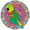 beautiful bright parrot |