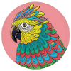 beautiful bright parrot |
