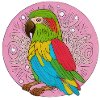 beautiful bright parrot |