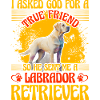 Labrador Funny Saying
