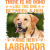 Labrador