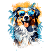 Australian Shepherd