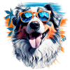 Australian Shepherd