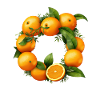 Orange Buchstabe Orangenfrüchte