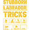 Stubborn labrador tricks