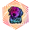 Labrador Retro