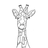 Giraffe zum Ausmalen, Sei kreativ und farbenfroh