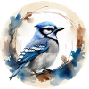 Blue jay bird
