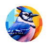 Blue jay bird