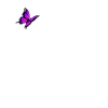 Dachshund with butterfly