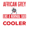 Graupapagei African Grey Parrot Papagei