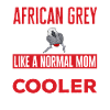 Graupapagei African Grey Parrot Papagei