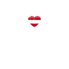 Austria Austrian flag Austrian
