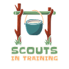 Boy Scout Training