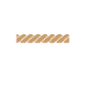 Scout