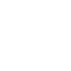 Scout