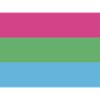 Polysexual Pride Flag